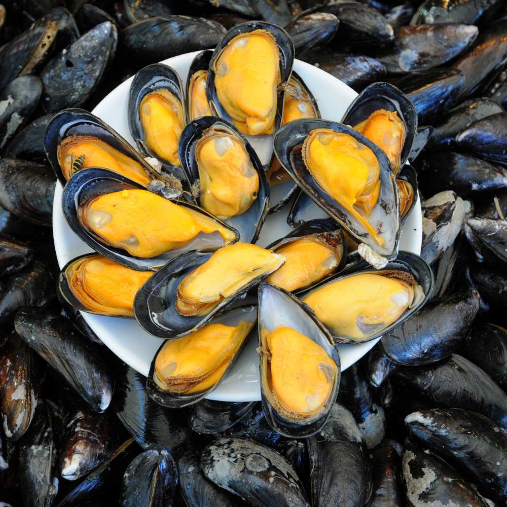 MEJILLONES MEDIA VALVA
